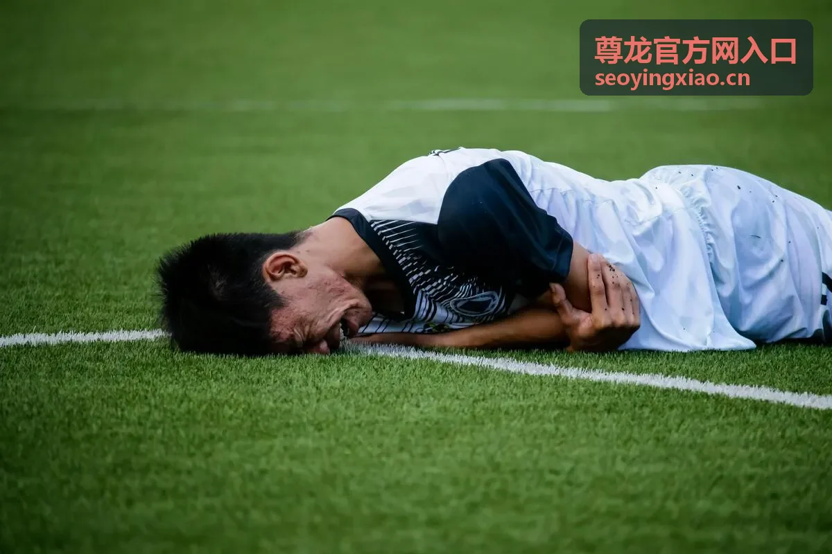 资讯与公告